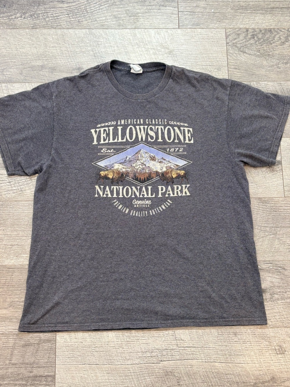 Delta Men's L Gray Yellowstone National Park Graphic Crew Neck Short Sleeve Tee